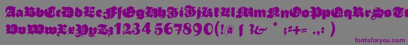 Typoasisboldgothic Font – Purple Fonts on Gray Background