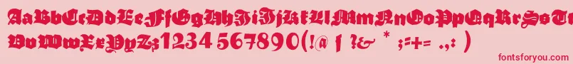 Typoasisboldgothic Font – Red Fonts on Pink Background