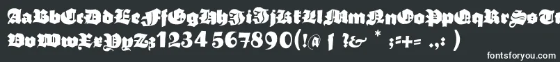 フォントTypoasisboldgothic – 白い文字