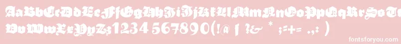 Typoasisboldgothic Font – White Fonts on Pink Background