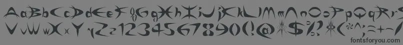 フォントRikyDepredadorNormal – 黒い文字の灰色の背景