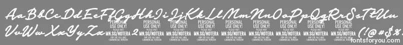 Notera2boldPersonal Font – White Fonts on Gray Background