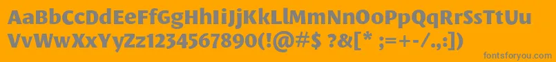 LeksasansproExtrabold Font – Gray Fonts on Orange Background
