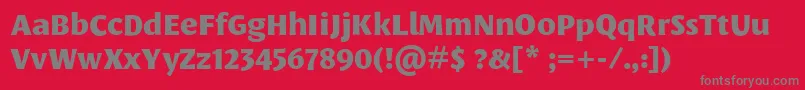 LeksasansproExtrabold Font – Gray Fonts on Red Background