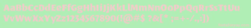 LeksasansproExtrabold Font – Pink Fonts on Green Background