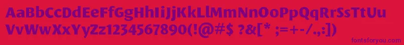 LeksasansproExtrabold Font – Purple Fonts on Red Background