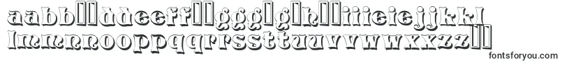 Police VivianShadow – polices maltaises
