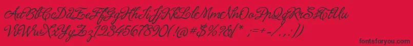 LaPorteniaDeLaRecoleta Font – Black Fonts on Red Background