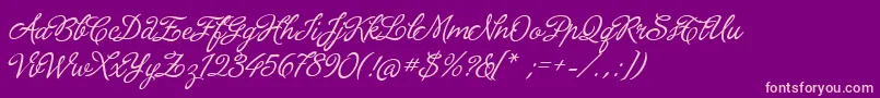 LaPorteniaDeLaRecoleta-Schriftart – Rosa Schriften auf violettem Hintergrund