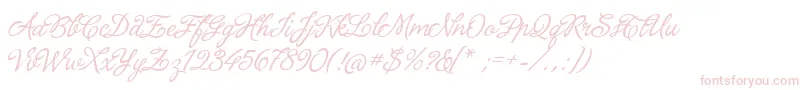 LaPorteniaDeLaRecoleta Font – Pink Fonts