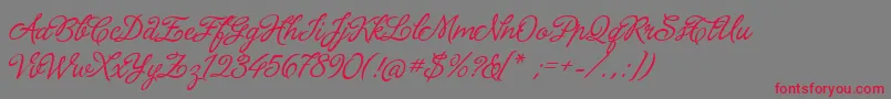 LaPorteniaDeLaRecoleta Font – Red Fonts on Gray Background