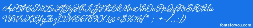 LaPorteniaDeLaRecoleta Font – White Fonts on Blue Background