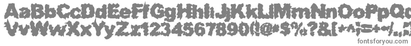 Шрифт SurfPunxHeavy – серые шрифты