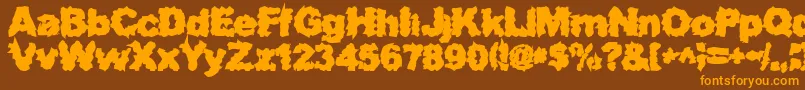 SurfPunxHeavy Font – Orange Fonts on Brown Background