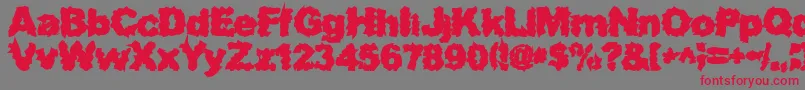 SurfPunxHeavy Font – Red Fonts on Gray Background