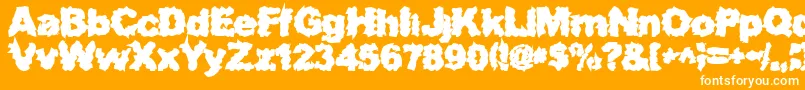SurfPunxHeavy Font – White Fonts on Orange Background