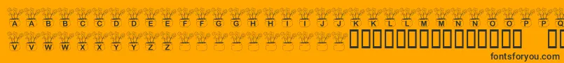 KrThreeFlowers-Schriftart – Schwarze Schriften auf orangefarbenem Hintergrund