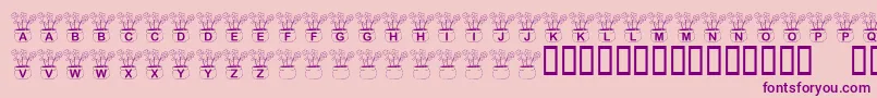 KrThreeFlowers-Schriftart – Violette Schriften auf rosa Hintergrund