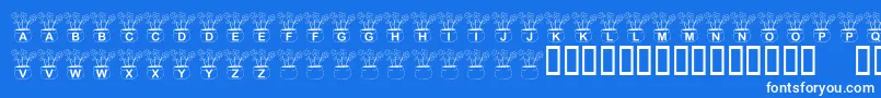 KrThreeFlowers Font – White Fonts on Blue Background