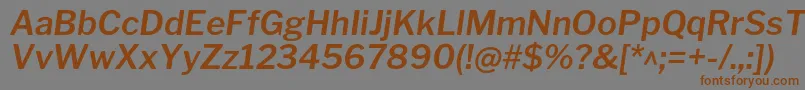 Шрифт LibrefranklinSemibolditalic – коричневые шрифты на сером фоне
