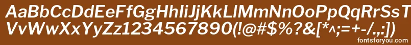 Шрифт LibrefranklinSemibolditalic – белые шрифты на коричневом фоне