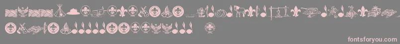 FtfIndonesianaScout Font – Pink Fonts on Gray Background