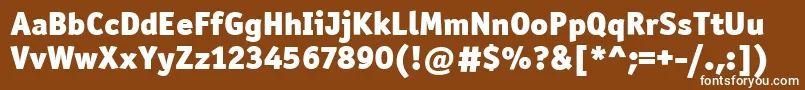 OfficinaSanItcBlack Font – White Fonts on Brown Background