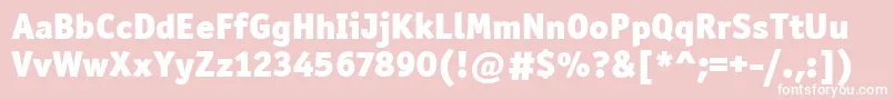 OfficinaSanItcBlack Font – White Fonts on Pink Background