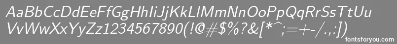 Lmsans12Oblique Font – White Fonts on Gray Background