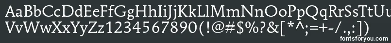 MendozaromanstdBook Font – White Fonts