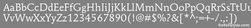 MendozaromanstdBook Font – White Fonts on Gray Background
