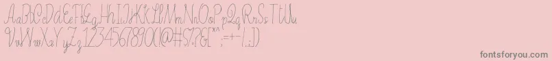 fuente Erica – Fuentes Grises Sobre Fondo Rosa