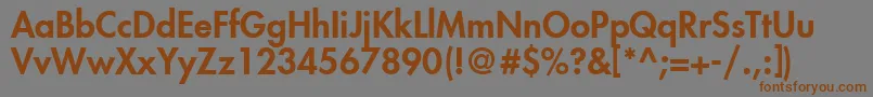 FuturaLtHeavy Font – Brown Fonts on Gray Background