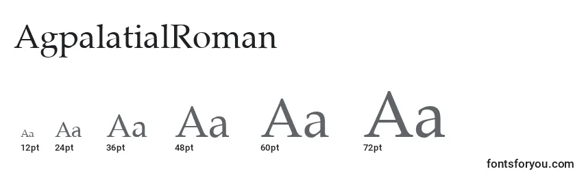 Размеры шрифта AgpalatialRoman