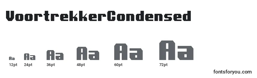 Размеры шрифта VoortrekkerCondensed