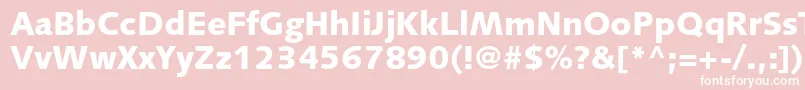 SyntaxltstdBlack Font – White Fonts on Pink Background