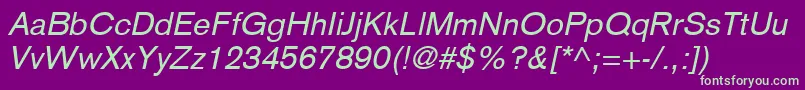BasiccommercialLtItalic Font – Green Fonts on Purple Background
