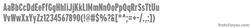 PftransitcompressedBlack Font – Gray Fonts on White Background
