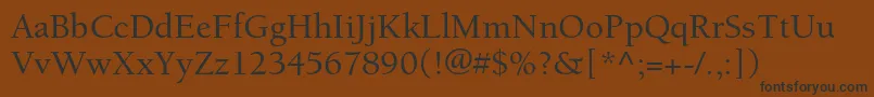 Шрифт BerkeleystdMedium – чёрные шрифты на коричневом фоне
