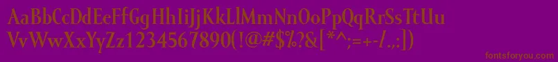 MramorBold-Schriftart – Braune Schriften auf violettem Hintergrund