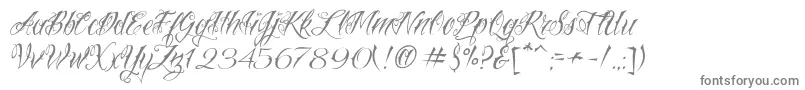 VtcNuetattooscript Font – Gray Fonts on White Background