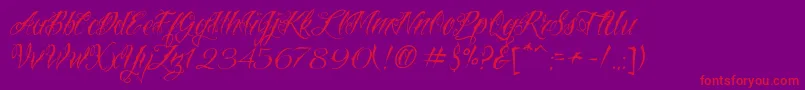 VtcNuetattooscript Font – Red Fonts on Purple Background