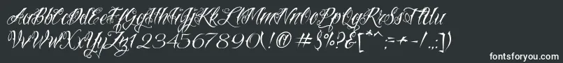 フォントVtcNuetattooscript – 白い文字