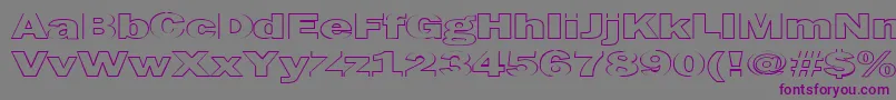 フォントMaltfrankgothicheavyHe – 紫色のフォント、灰色の背景