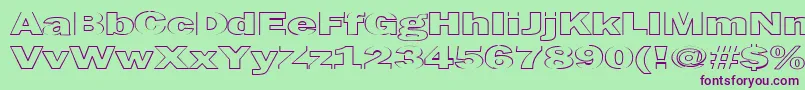 MaltfrankgothicheavyHe Font – Purple Fonts on Green Background