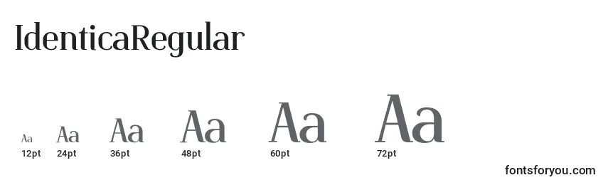 IdenticaRegular (40367) Font Sizes