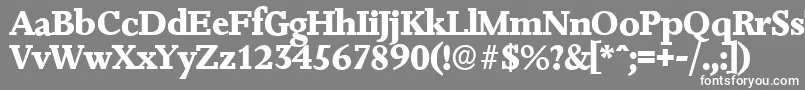 JessicaserialXboldRegular Font – White Fonts on Gray Background