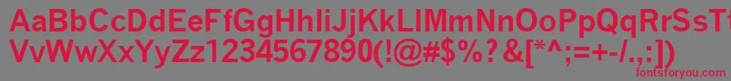 フォントQuicktypeBold – 赤い文字の灰色の背景