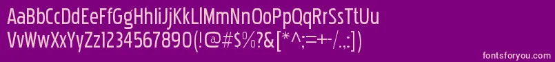 PakenhamcdrgRegular Font – Pink Fonts on Purple Background