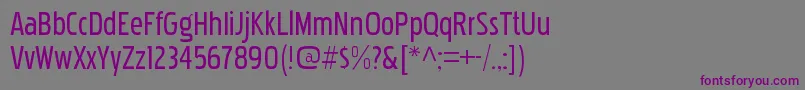 Czcionka PakenhamcdrgRegular – fioletowe czcionki na szarym tle